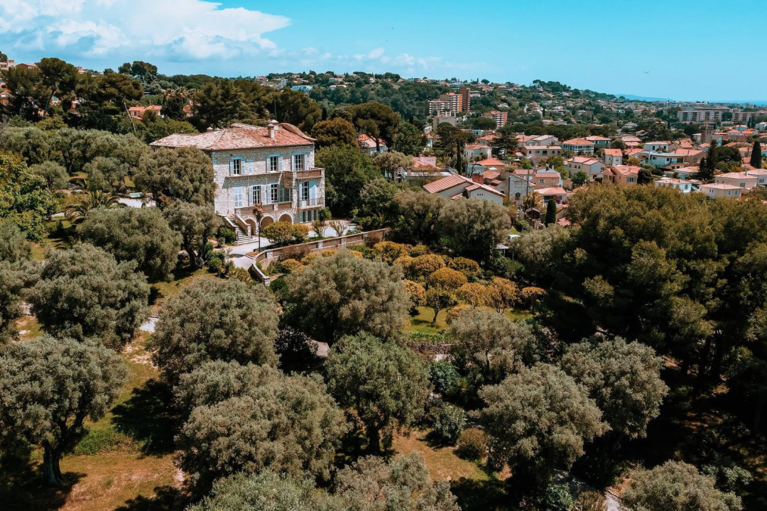 Thieves Steal Renoir Paintings Worth Millions from French Museum