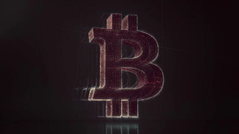 Brooklyn's Alona Katz Targets $11 Billion Crypto Scam Networks